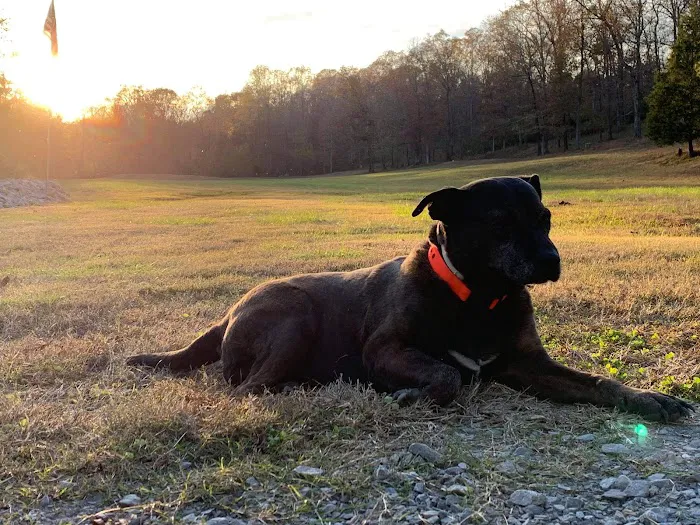 Animal Clinic-Stewart County 10