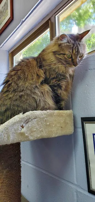 Animal Clinic-Stewart County 9