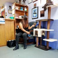 Animal Clinic-Stewart County ico