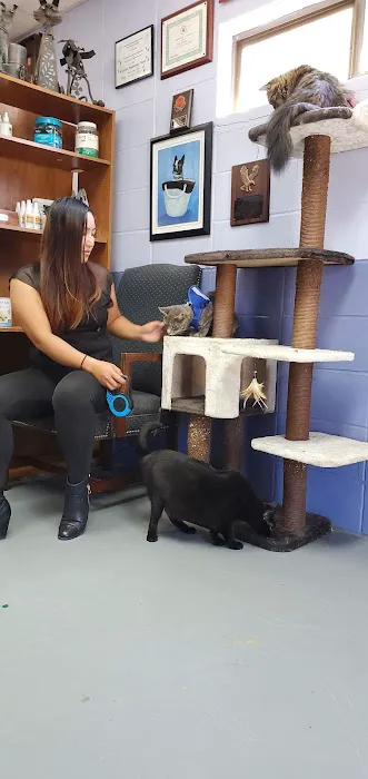 Animal Clinic-Stewart County 3
