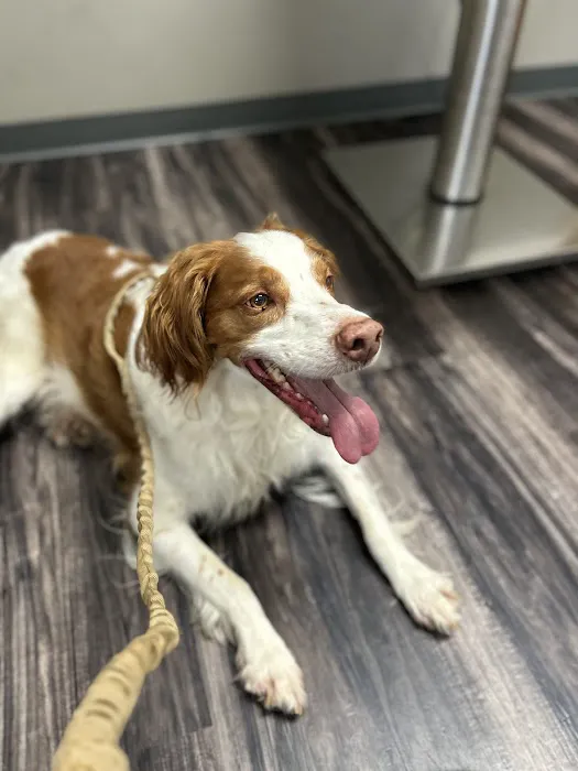 North Stewart Veterinary Clinic 3