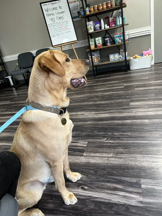 North Stewart Veterinary Clinic 9