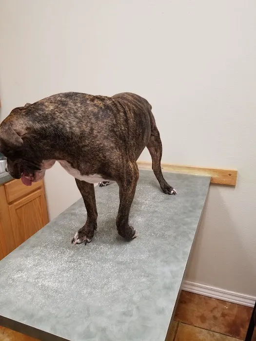Lakewood Veterinary Center 7