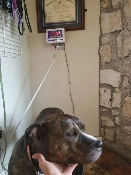 Lakewood Veterinary Center 4