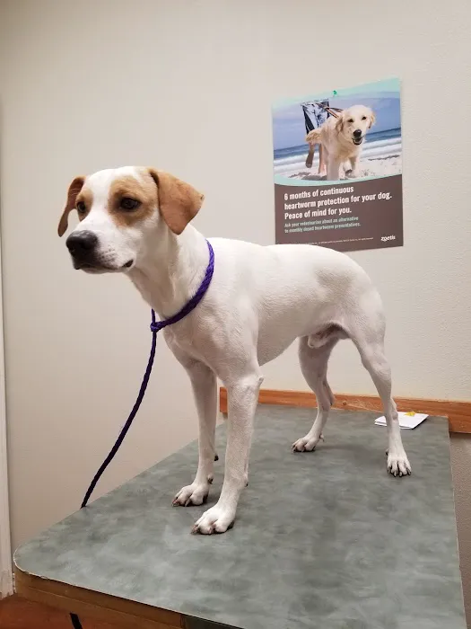 Lakewood Veterinary Center 3