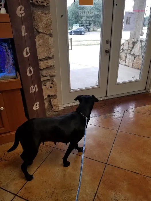 Lakewood Veterinary Center 5