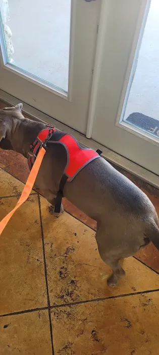 Lakewood Veterinary Center 8