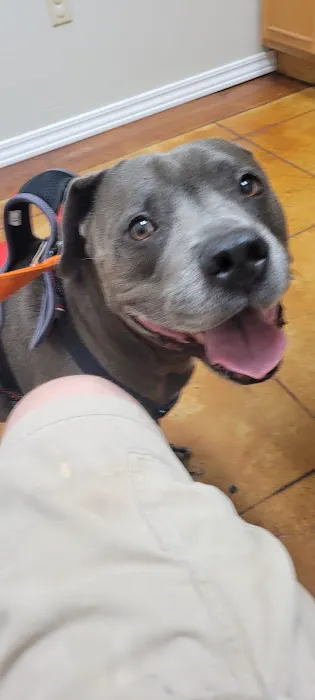 Lakewood Veterinary Center 6