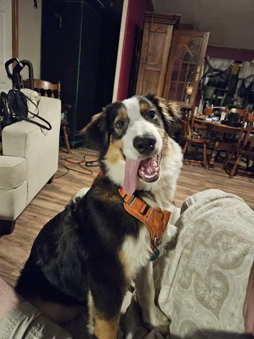 Banfield Pet Hospital 7