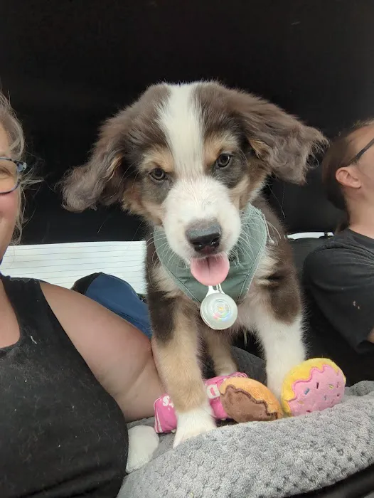 Banfield Pet Hospital 2