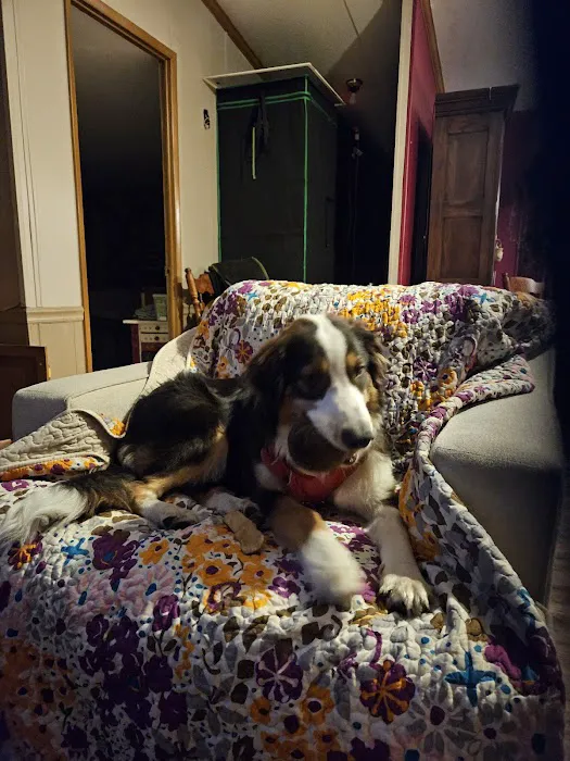 Banfield Pet Hospital 6