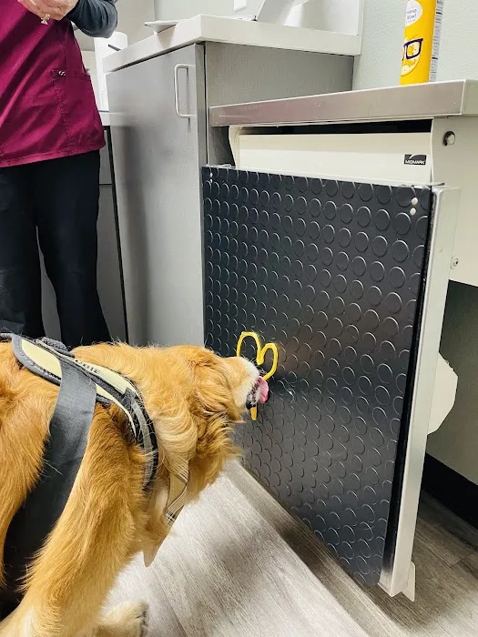 Barks + Bliss Veterinary Wellness 9