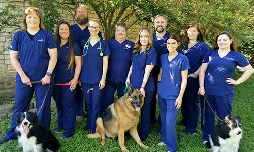 Loop 363 Animal Hospital 1