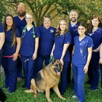 Loop 363 Animal Hospital ico