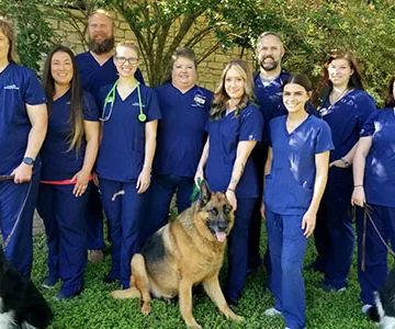 Loop 363 Animal Hospital