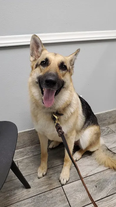 Loop 363 Animal Hospital 8