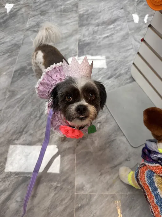 Temple Veterinary Hospital of Western Hills 1