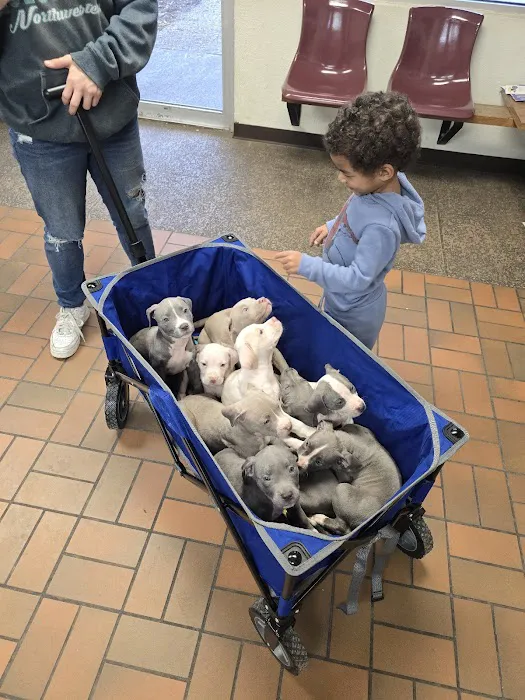 Animal Medical Care 4