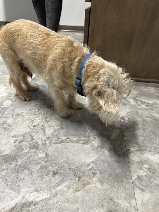 Animal Emergency Center of Killeen 7