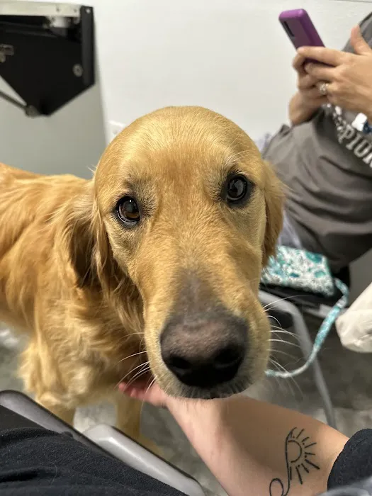 Animal Emergency Center of Killeen 8