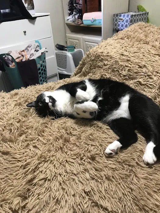 Banfield Pet Hospital 1