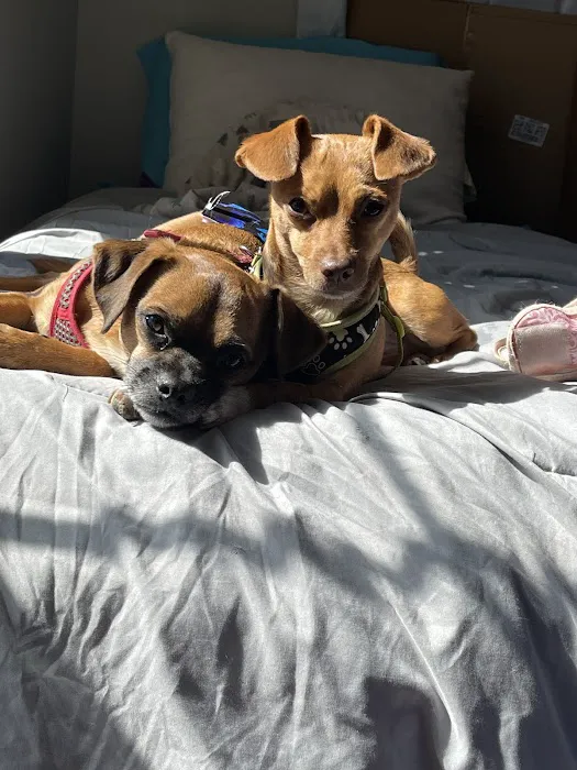 Banfield Pet Hospital 3