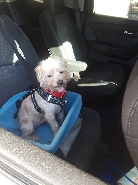 Banfield Pet Hospital 5