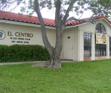 El Centro Pet Medical Center, A Thrive Pet Healthcare Partner