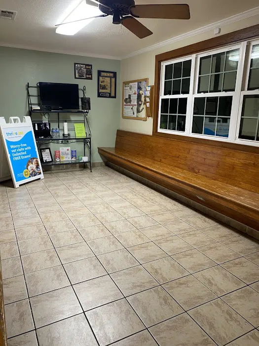 El Centro Pet Medical Center, A Thrive Pet Healthcare Partner 9