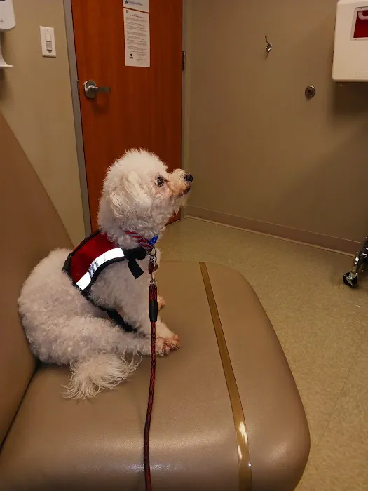 Town & Country Veterinary Medical Center 7