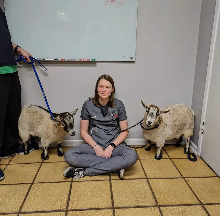 All Animals Veterinary Hospital 9