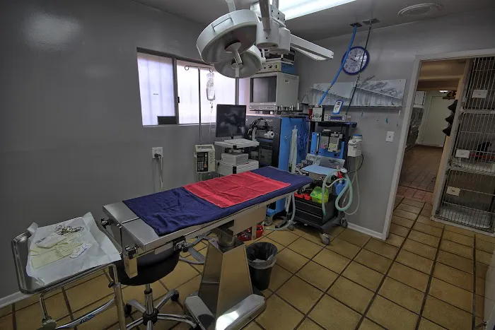All Animals Veterinary Hospital 6