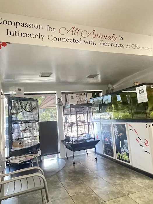 All Animals Veterinary Hospital 1
