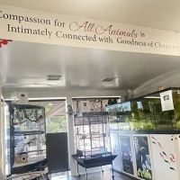 All Animals Veterinary Hospital ico