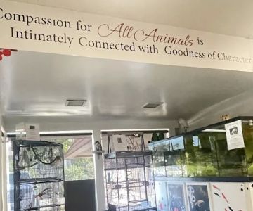 All Animals Veterinary Hospital