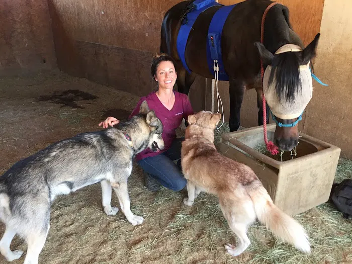 Vital Equine Holistic Veterinary Medicine 8