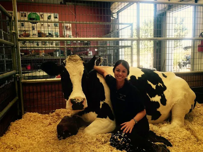 Vital Equine Holistic Veterinary Medicine 1