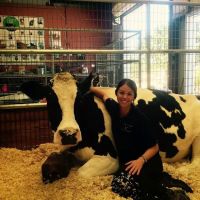 Vital Equine Holistic Veterinary Medicine ico