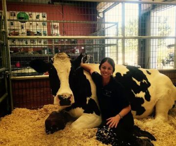 Vital Equine Holistic Veterinary Medicine