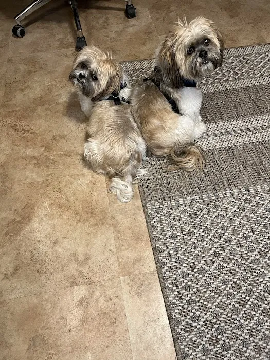 VCA Palmer Animal Hospital 8
