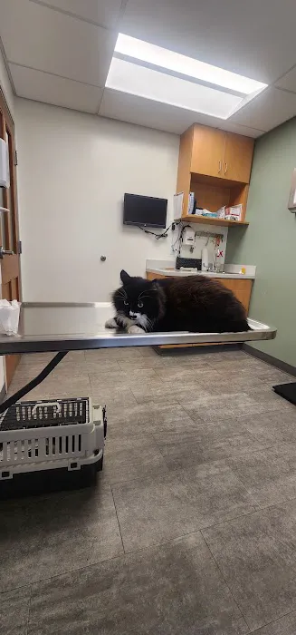 VCA Palmer Animal Hospital 9