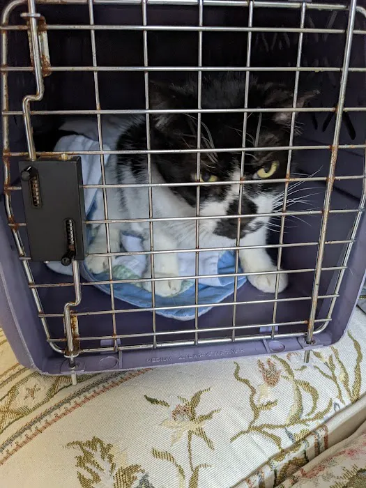 Monson Animal Clinic 7