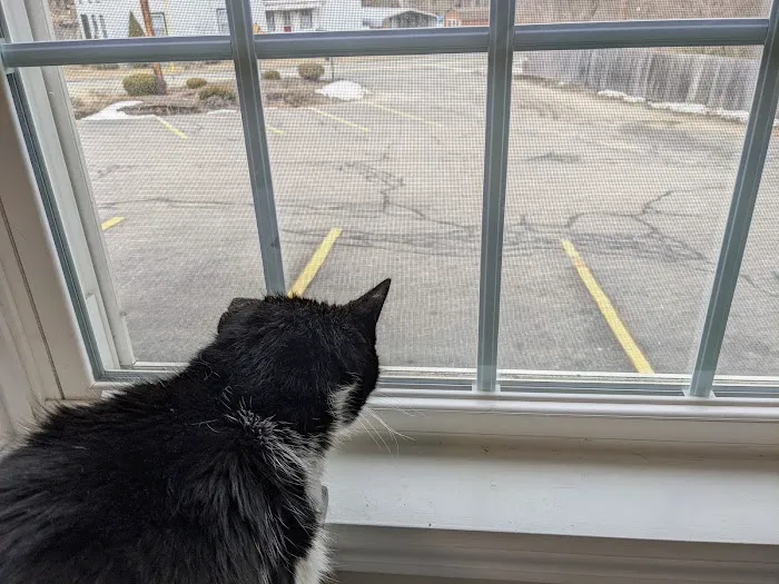 Monson Animal Clinic 4