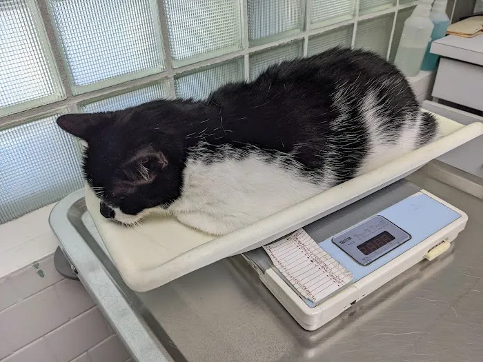 Monson Animal Clinic 5
