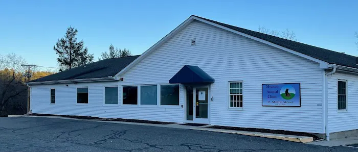 Monson Animal Clinic 9