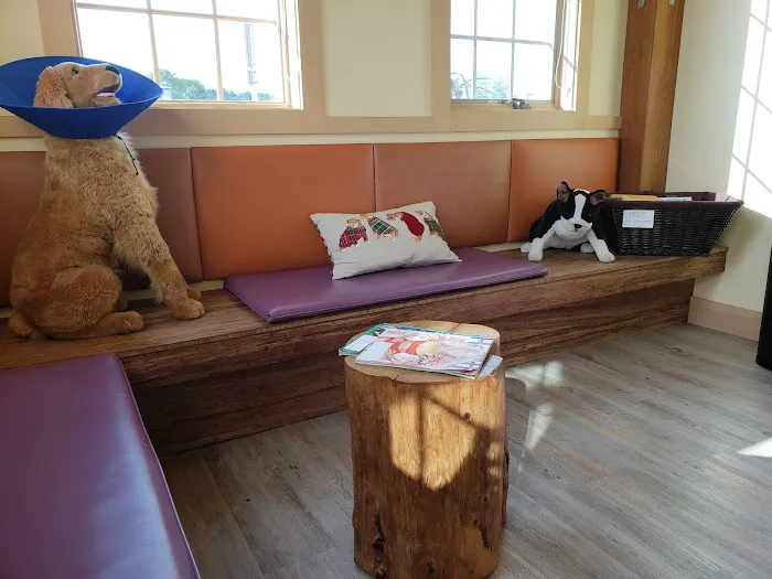 Animal Eye Care of New England 1