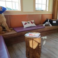 Animal Eye Care of New England ico