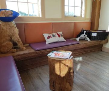 Animal Eye Care of New England