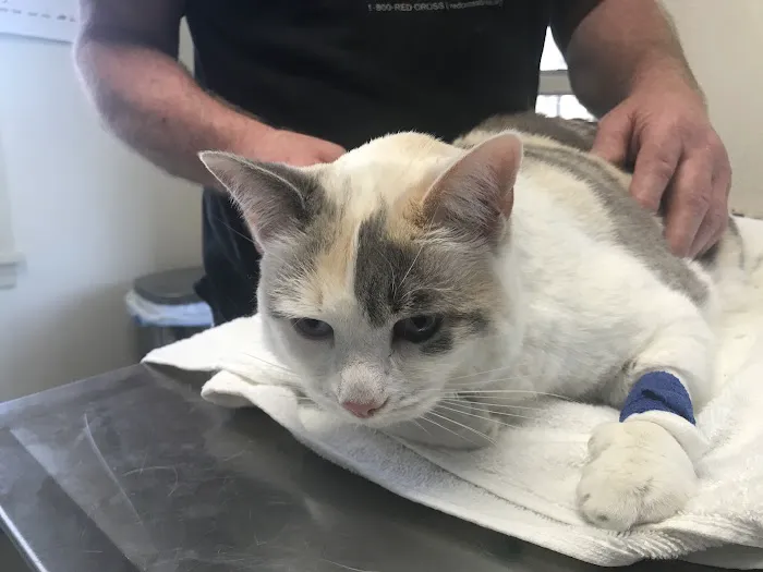 South Deerfield Veterinary Clinic 7