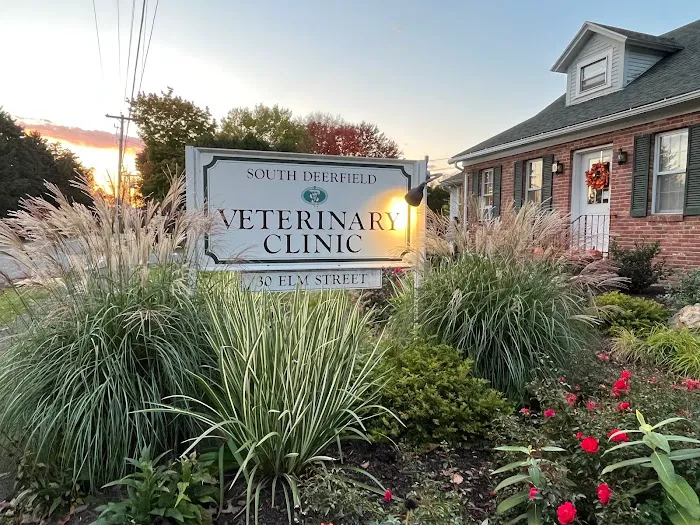 South Deerfield Veterinary Clinic 10